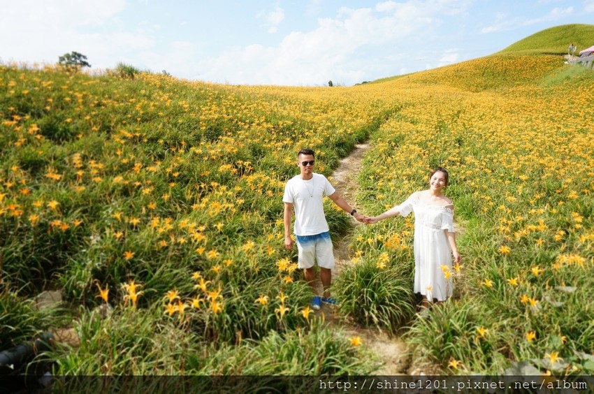 花蓮六十石金針花｜沿途都好拍.德森有機農場金針花餐