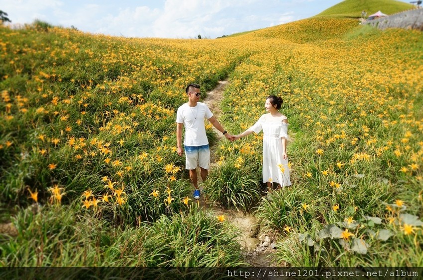 花蓮六十石金針花｜沿途都好拍.德森有機農場金針花餐