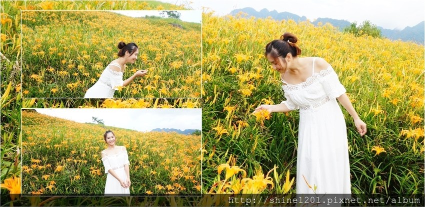 花蓮六十石金針花｜沿途都好拍.德森有機農場金針花餐