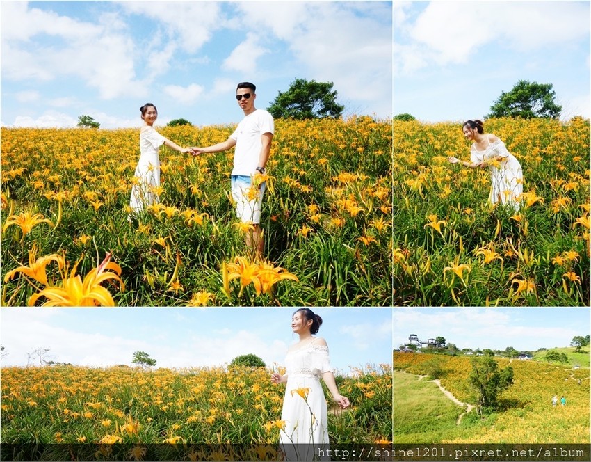 花蓮六十石金針花｜沿途都好拍.德森有機農場金針花餐