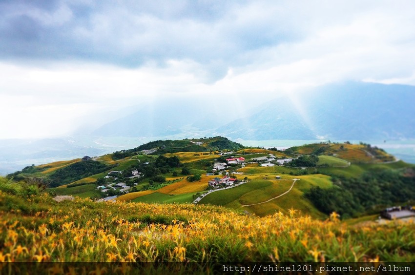 花蓮六十石金針花｜沿途都好拍.德森有機農場金針花餐