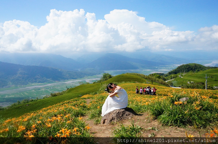  花蓮六十石山金針花海