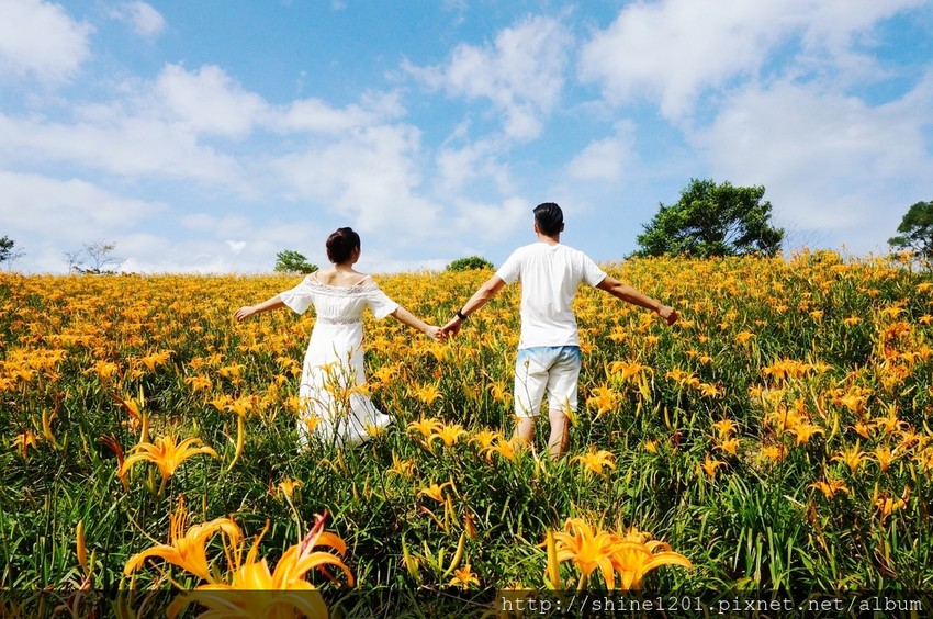 花蓮六十石金針花｜沿途都好拍.德森有機農場金針花餐