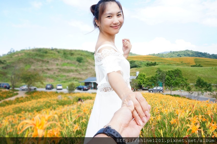 花蓮六十石金針花｜沿途都好拍.德森有機農場金針花餐