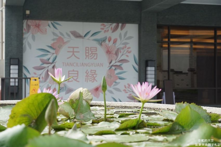 【台北Buffet推薦 天賜百匯自助餐】新莊最狂吃到飽餐廳　超過百種澎派料理　挑戰老饕挑剔的味蕾 - 安妮的天空