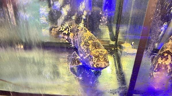 LINE_ALBUM_天賜良緣_231130_107 LINE_ALBUM_天賜良緣_231130_107