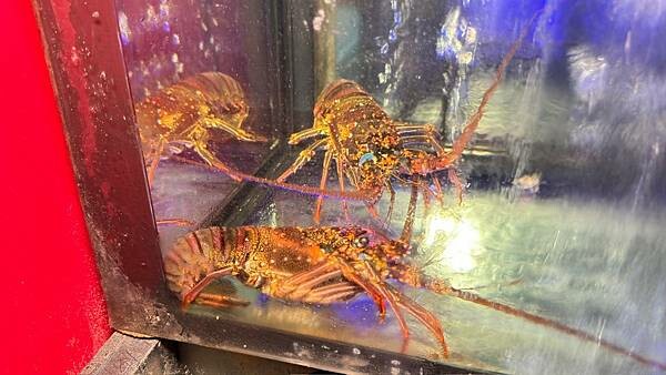 LINE_ALBUM_天賜良緣_231130_108 LINE_ALBUM_天賜良緣_231130_108