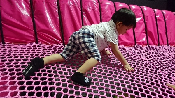 小火車x顛倒屋2.0特展：高雄駁二~小火車x顛倒屋2.0特展~乘坐小火車進入奇幻世界~適合親子同遊~展期6/15-9/02