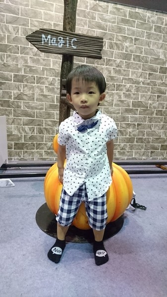 小火車x顛倒屋2.0特展：高雄駁二~小火車x顛倒屋2.0特展~乘坐小火車進入奇幻世界~適合親子同遊~展期6/15-9/02