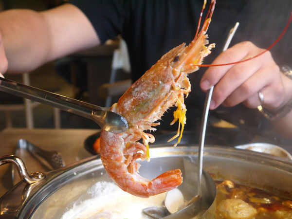 食藝鍋：【新北市 板橋區/捷運板橋站】食藝鍋-鮮甜滋味波士頓龍王鍋＋厚實肉片大口滿足