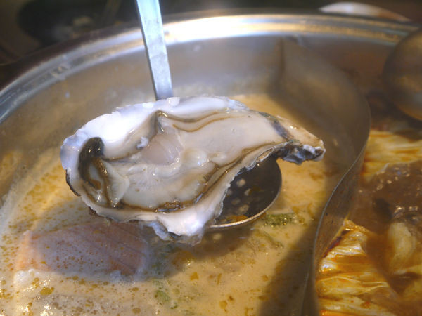 食藝鍋：【新北市 板橋區/捷運板橋站】食藝鍋-鮮甜滋味波士頓龍王鍋＋厚實肉片大口滿足