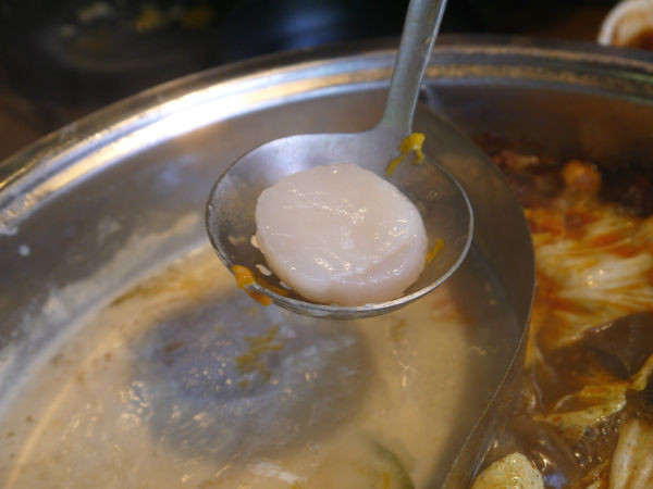 食藝鍋：【新北市 板橋區/捷運板橋站】食藝鍋-鮮甜滋味波士頓龍王鍋＋厚實肉片大口滿足