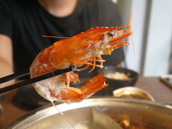 食藝鍋：【新北市 板橋區/捷運板橋站】食藝鍋-鮮甜滋味波士頓龍王鍋＋厚實肉片大口滿足