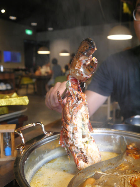 食藝鍋：【新北市 板橋區/捷運板橋站】食藝鍋-鮮甜滋味波士頓龍王鍋＋厚實肉片大口滿足