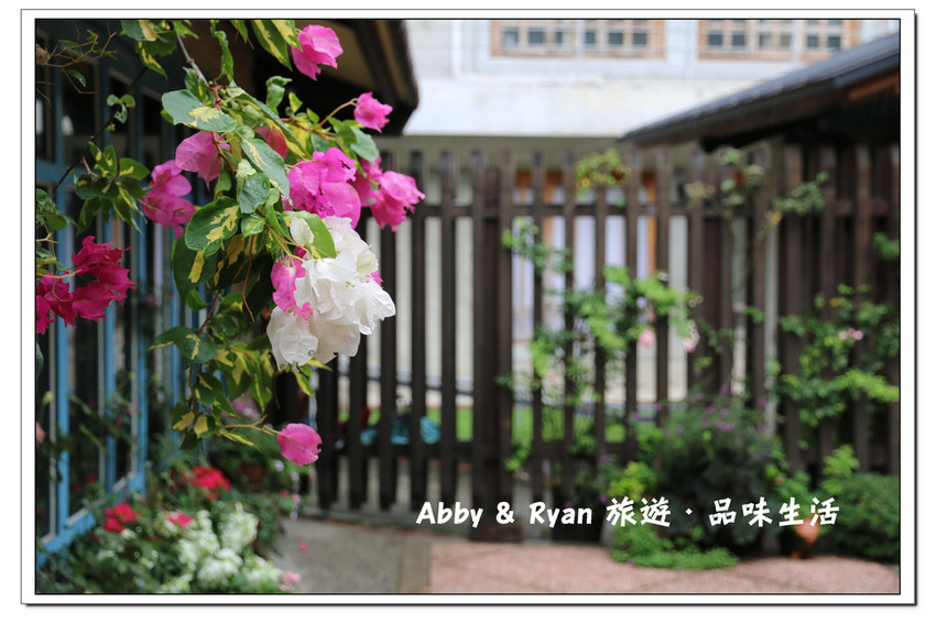 newIMG_0038.jpg newIMG_0038.jpg