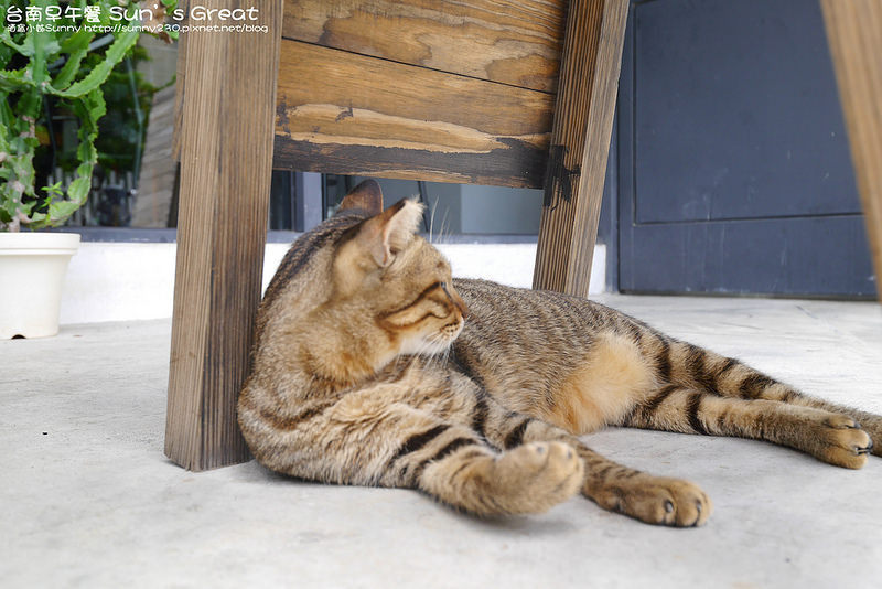 台南早午餐 Sun’s Great