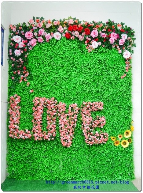 P9170374 (458x620).jpg P9170374 (458x620).jpg