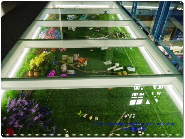 P9170400 (620x465).jpg P9170400 (620x465).jpg