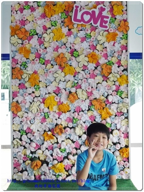 P9170402 (465x620).jpg P9170402 (465x620).jpg