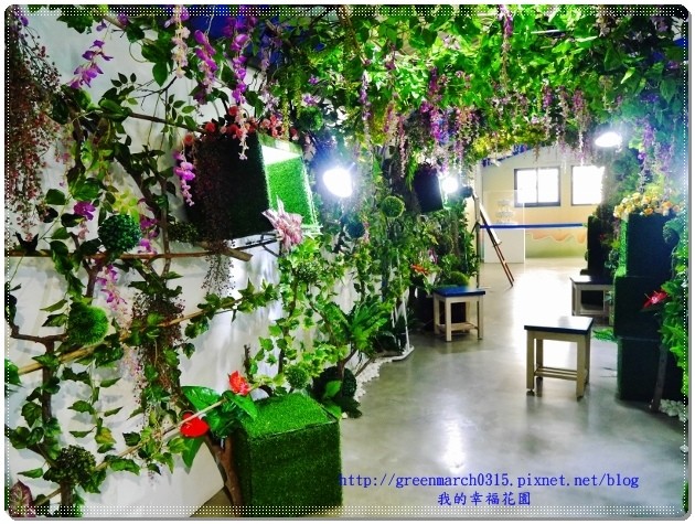 P9170419 (620x465).jpg P9170419 (620x465).jpg