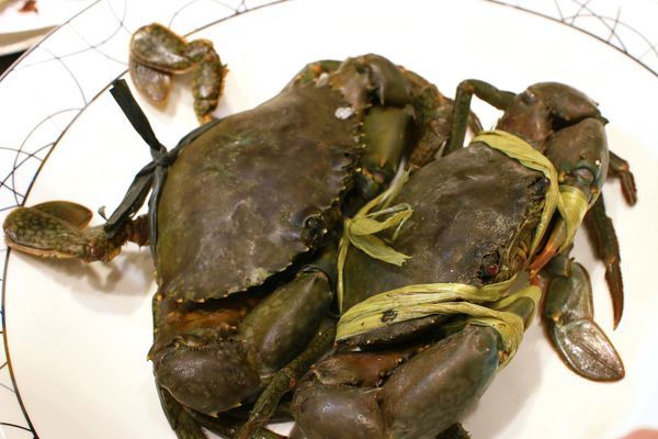 【內湖美食】88號樂章婚宴會館-有如花海般夢幻的婚宴場地,令人著迷的環境氛圍