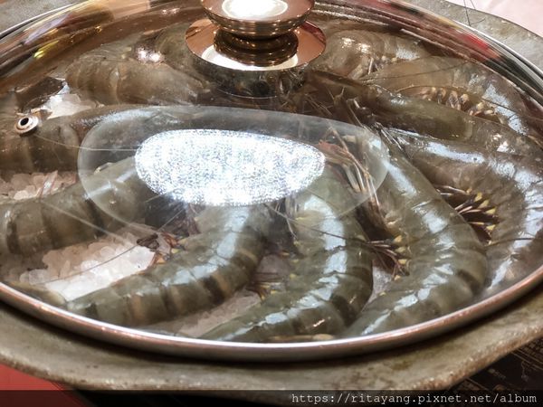 07A45F42-BB3D-425D-B040-1A885B4F350B.jpeg 07A45F42-BB3D-425D-B040-1A885B4F350B.jpeg