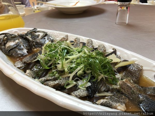 63ED7B6E-95C1-419D-AF1D-CDA284BE36D1.jpeg 63ED7B6E-95C1-419D-AF1D-CDA284BE36D1.jpeg