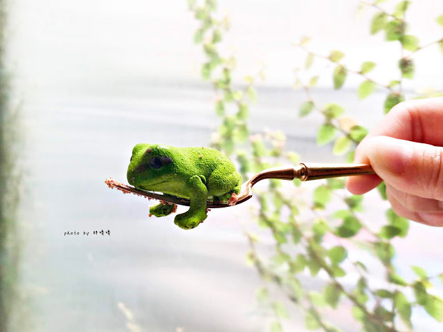 【台北 大安】Truffles Aroma 舒服氣息💐💐💐空間絕美，精心佈置，藝術品般的法式甜點，價位偏高，口味見仁見智，網路評價兩極，整體非常適合拍照📷