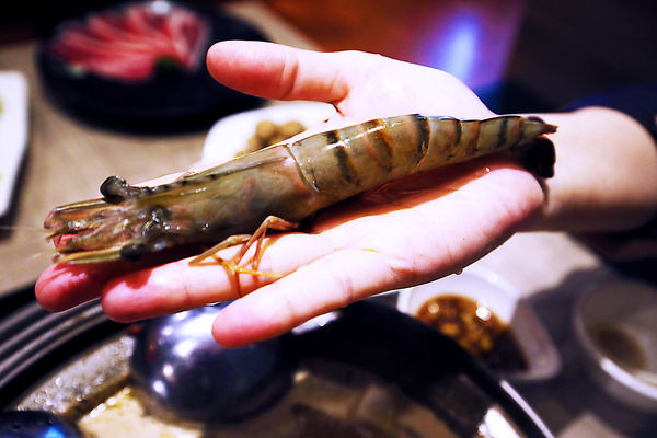 IMG_1027.JPG IMG_1027.JPG