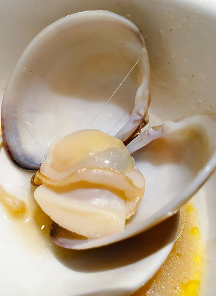 PSX_20180901_222120.jpg PSX_20180901_222120.jpg