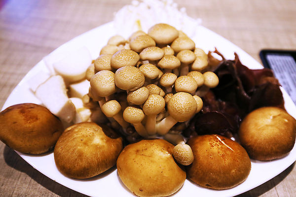 IMG_1006.JPG IMG_1006.JPG