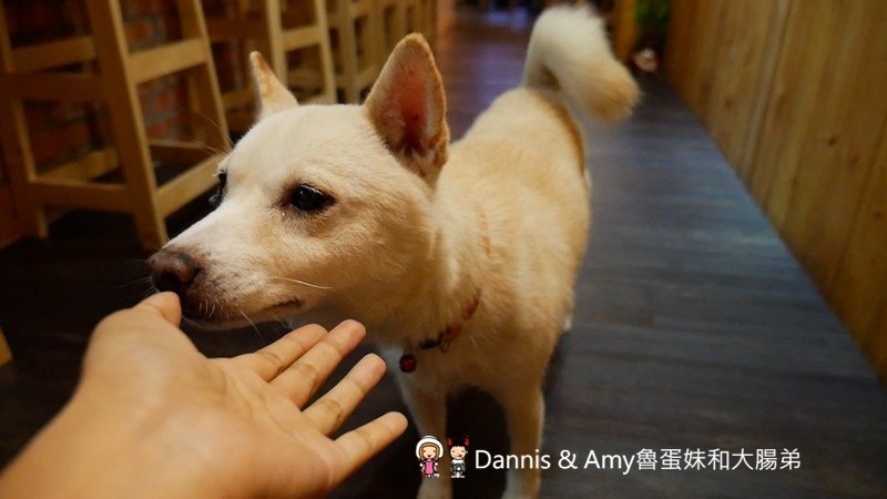 《新竹宵夜美食》男子漢居酒屋。開到凌晨夜貓子聚餐的深夜食堂。手作料理串燒熱炒菜色推薦。菜單分享︱明湖路育賢國中附近（影片）