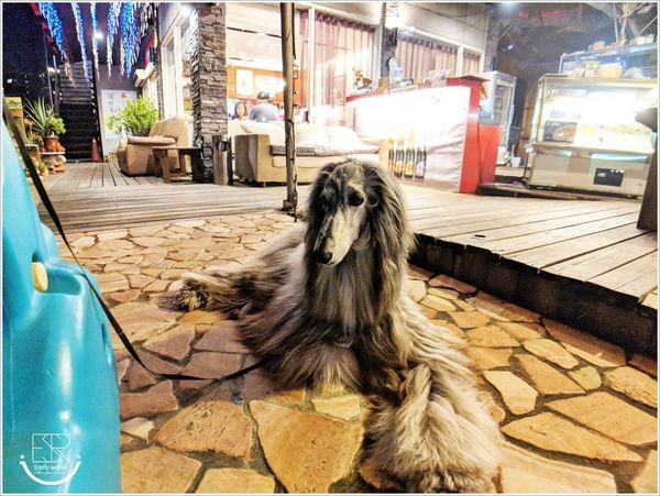 Olive牛仔好忙 (47)