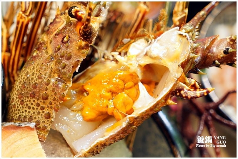 【台北火鍋】養鍋Yang Guo石頭涮涮鍋．台中排隊火鍋名店來台北囉!口味多樣、用料實在，不收服務費、友善寵物餐廳!