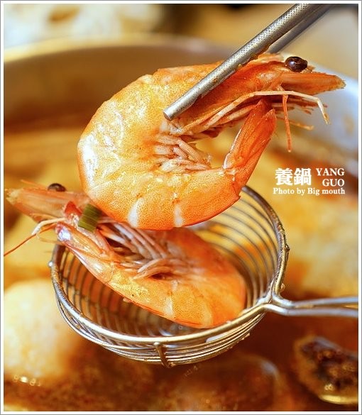 【台北火鍋】養鍋Yang Guo石頭涮涮鍋．台中排隊火鍋名店來台北囉!口味多樣、用料實在，不收服務費、友善寵物餐廳!