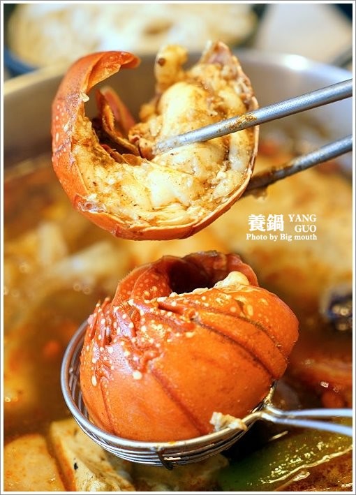 【台北火鍋】養鍋Yang Guo石頭涮涮鍋．台中排隊火鍋名店來台北囉!口味多樣、用料實在，不收服務費、友善寵物餐廳!