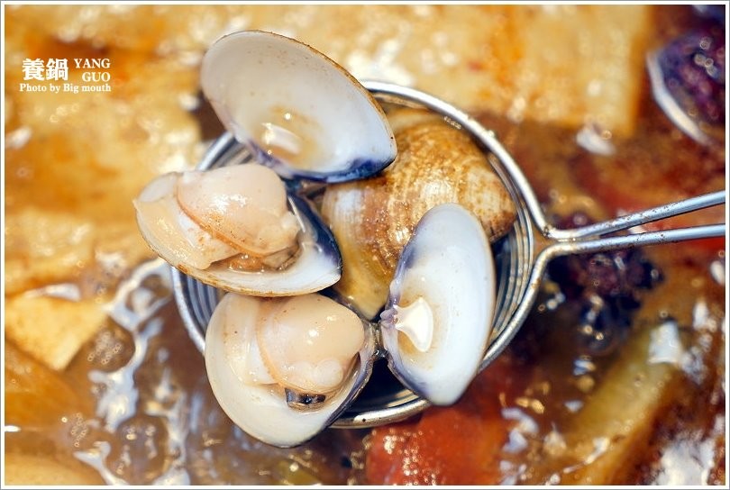 【台北火鍋】養鍋Yang Guo石頭涮涮鍋．台中排隊火鍋名店來台北囉!口味多樣、用料實在，不收服務費、友善寵物餐廳!