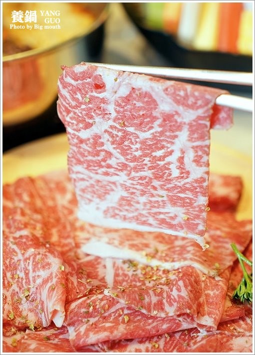 【台北火鍋】養鍋Yang Guo石頭涮涮鍋．台中排隊火鍋名店來台北囉!口味多樣、用料實在，不收服務費、友善寵物餐廳!