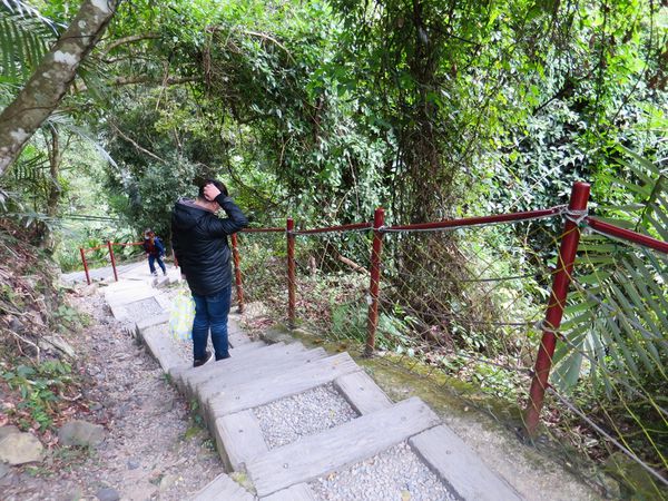 小烏來天空步道 (56).jpg