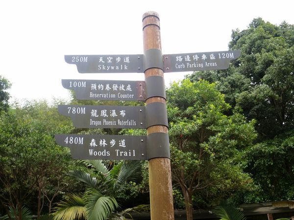 小烏來天空步道 (31).jpg