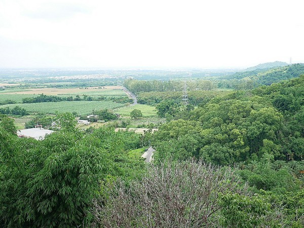 慈園茄苳木棧咖啡館:慈園茄苳木棧咖啡館-雲林古坑複合式景觀餐廳 近劍湖山世界 坐著用餐就能看見繽紛摩天輪與一片綠意相對照 假日放鬆的好去處