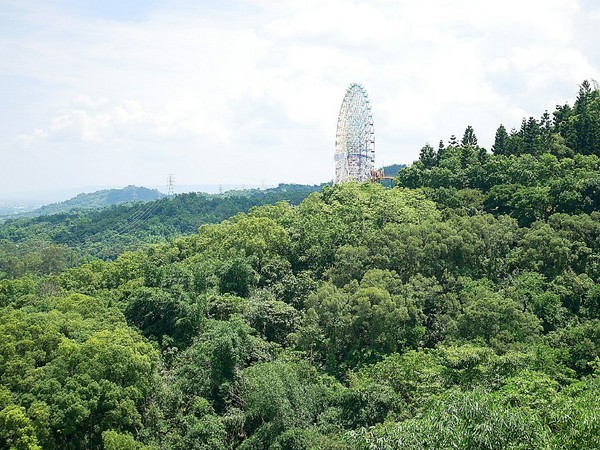 慈園茄苳木棧咖啡館:慈園茄苳木棧咖啡館-雲林古坑複合式景觀餐廳 近劍湖山世界 坐著用餐就能看見繽紛摩天輪與一片綠意相對照 假日放鬆的好去處