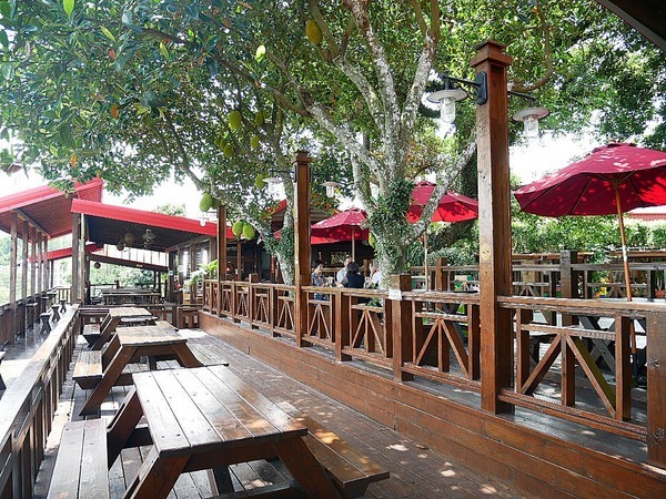 慈園茄苳木棧咖啡館：慈園茄苳木棧咖啡館-雲林古坑複合式景觀餐廳  近劍湖山世界  坐著用餐就能看見繽紛摩天輪與一片綠意相對照  假日放鬆的好去處