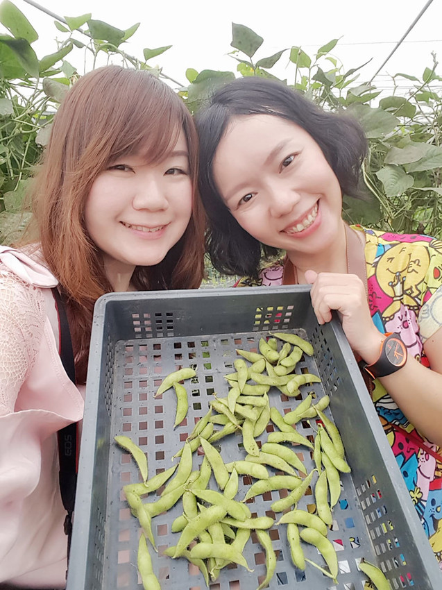 41537158_2110048745979700_4956713961224404992_n - 複製