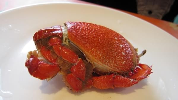 亞盧意大利窯烤：Buffet吃到飽-亞盧意大利窯烤