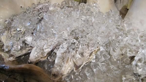 亞盧意大利窯烤：Buffet吃到飽-亞盧意大利窯烤