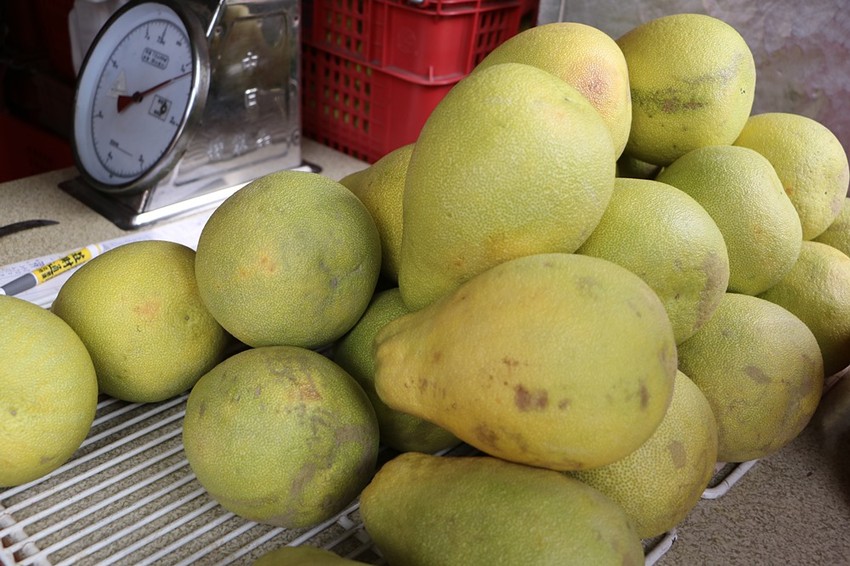 國民市場美食半日遊。新都廳賞屋、阿伯雞蛋糕、阿惠愛玉冰、雲家檸檬大王、 Birdy Pancake 平價療癒舒芙蕾、國民市場魚丸料理
