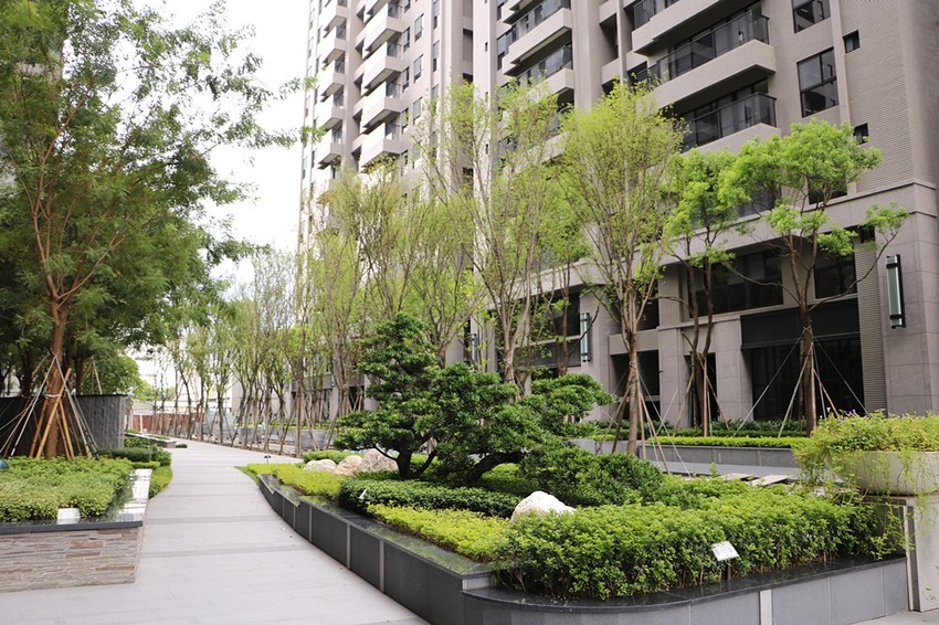 國民市場美食半日遊。新都廳賞屋、阿伯雞蛋糕、阿惠愛玉冰、雲家檸檬大王、 Birdy Pancake 平價療癒舒芙蕾、國民市場魚丸料理