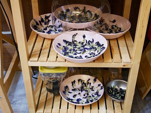 green bunny:green bunny-台北內湖創意美式餐廳 港墘站巷弄小店 特殊風味餐點新發現 還有店貓超可愛