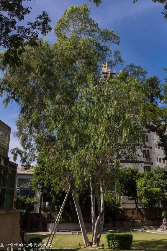 台南景點︱吳園藝文中心　走進歷史，窺看府城吳家的榮辱興衰；漫步園林，細賞清代富賈一方的府邸風華！
